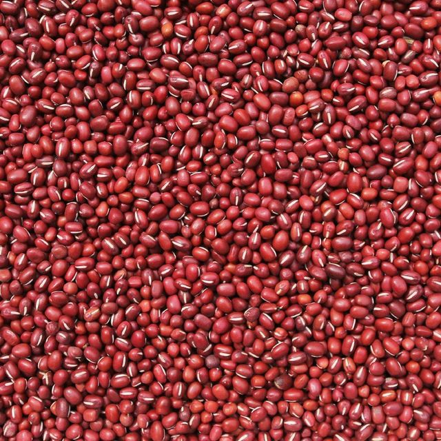 Adzuki Bean Harvest