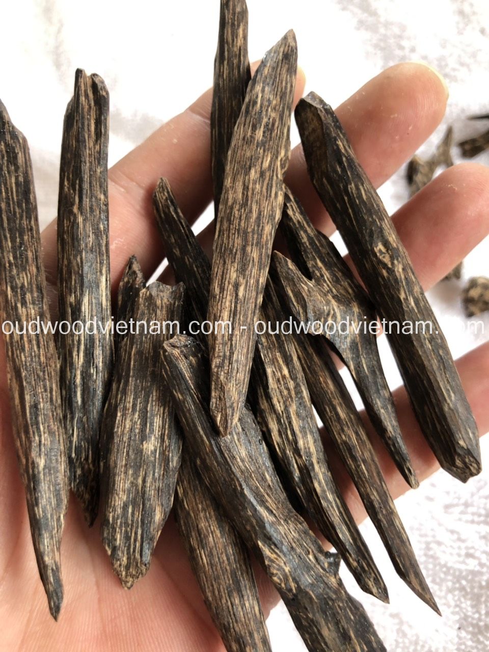 Traditional Oud Distillation