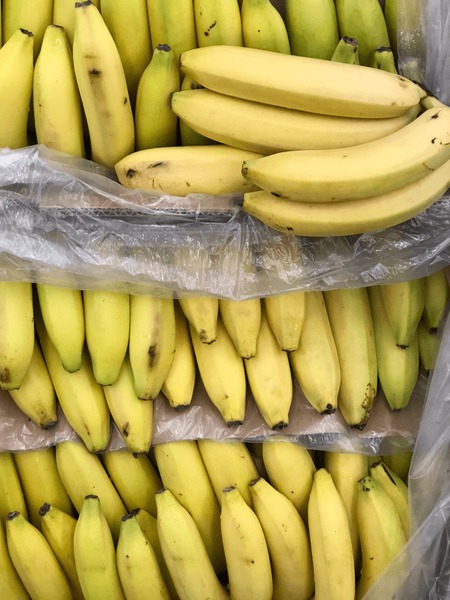 Banana Export Packaging