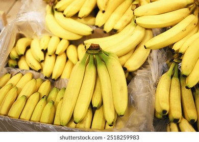 Banana Quality Control