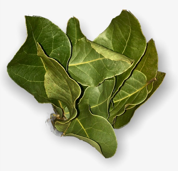 Bulk bags of bay leaves