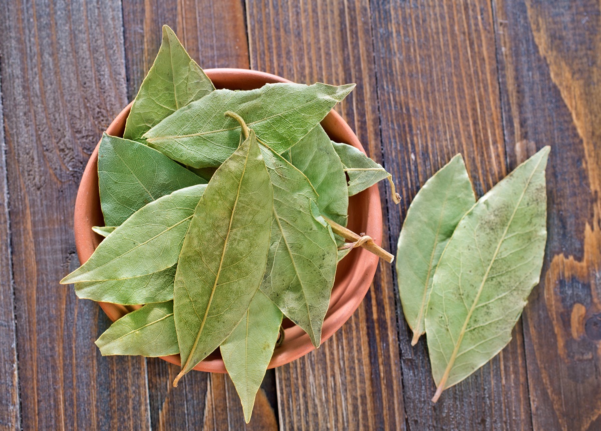 Sun-drying bay leaves