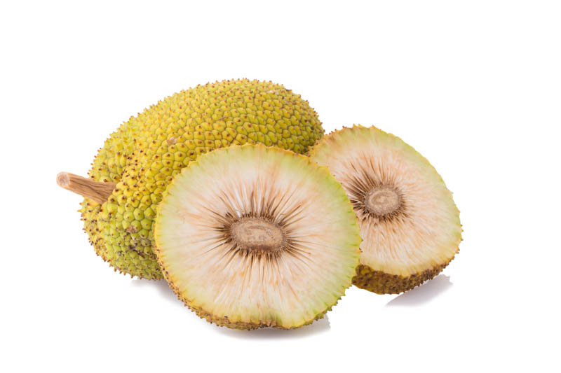 Quality check of breadfruit