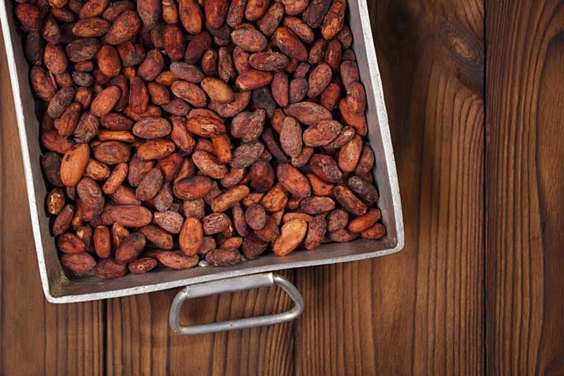 Packaging cacao nibs for export