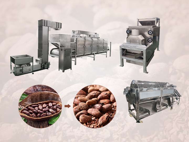 Harvesting cacao pods