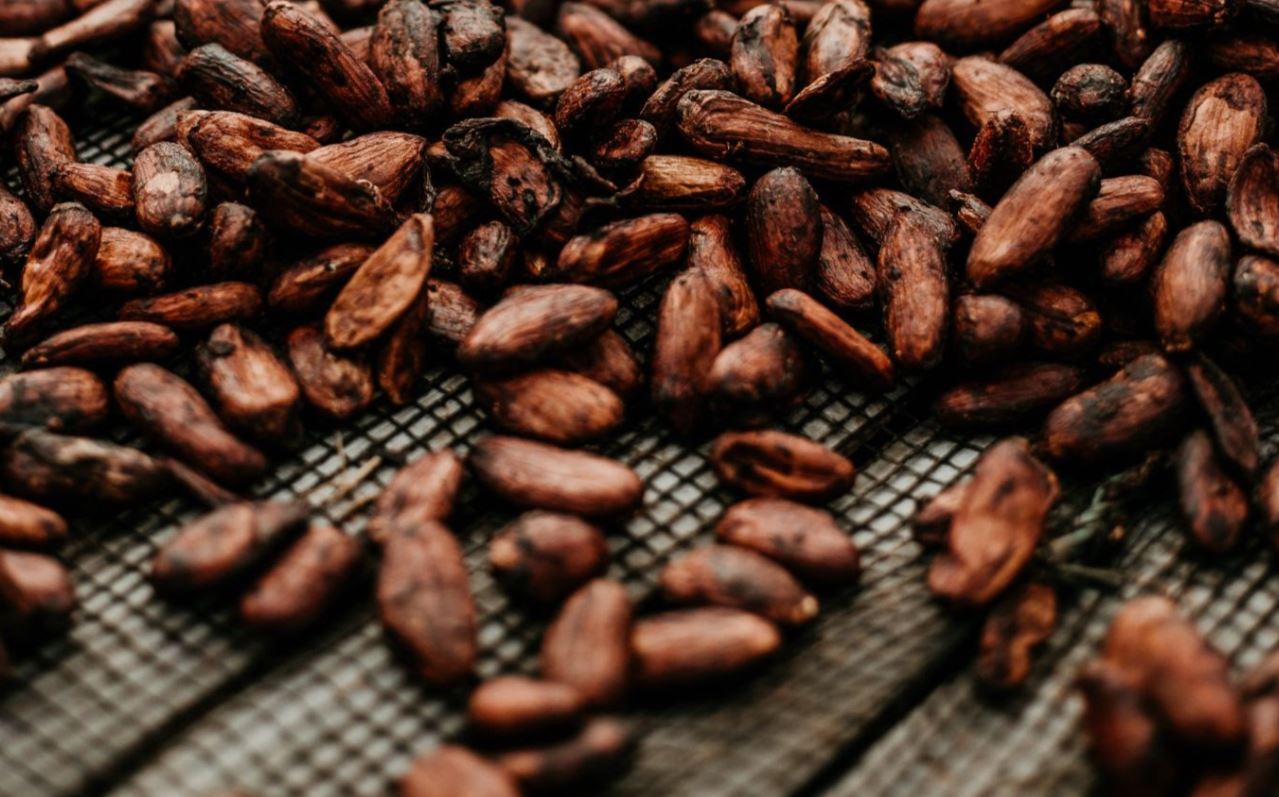 Raw Cacao Nibs