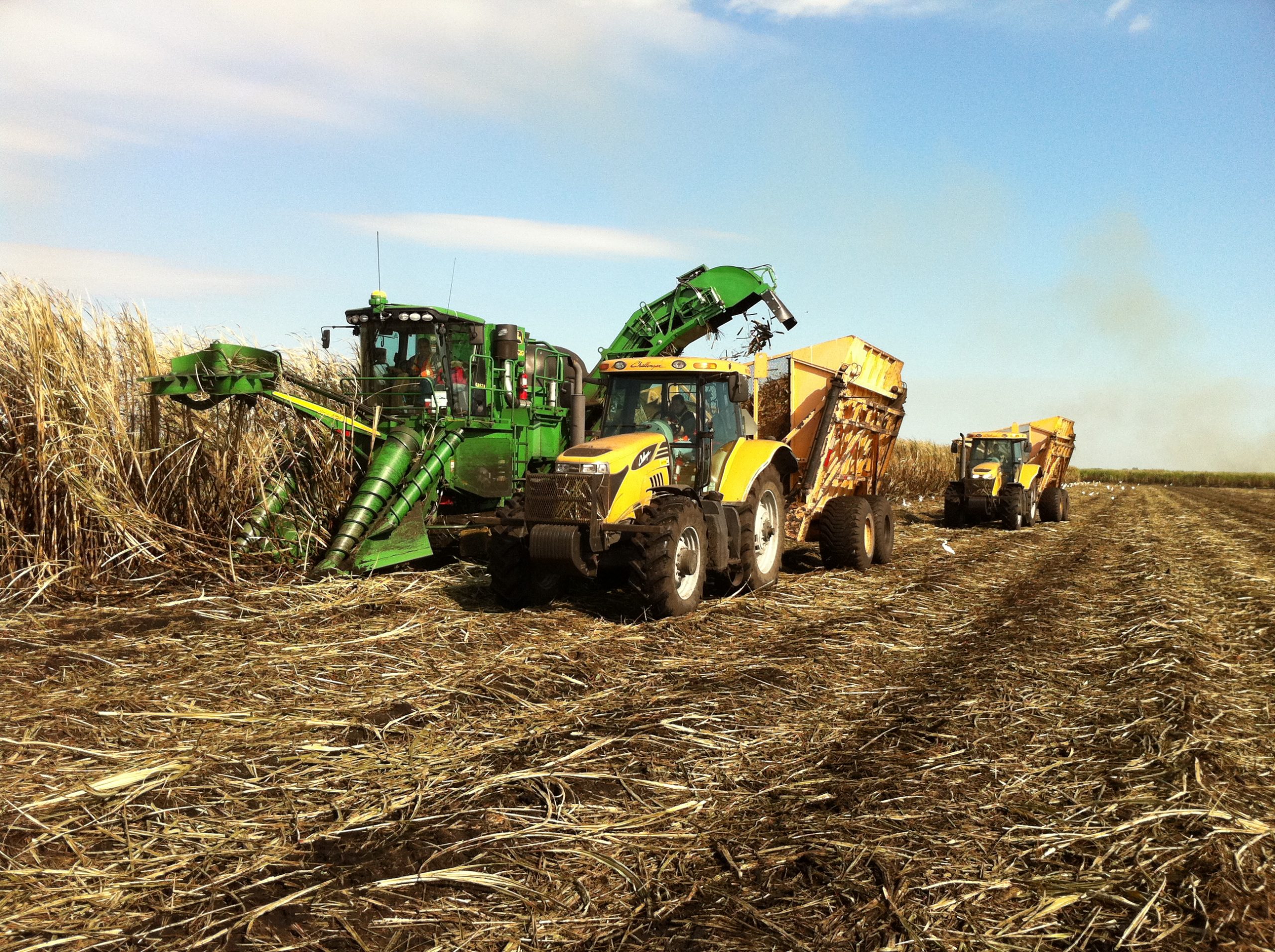 Processing sugarcane