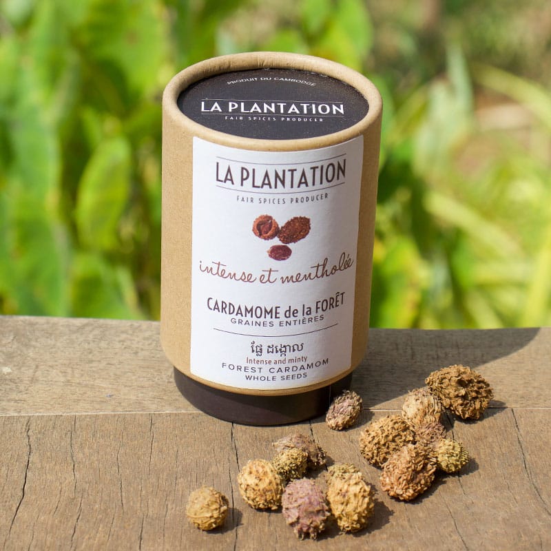 Lush cardamom farm