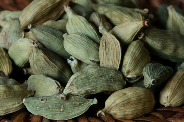 Hand-harvesting cardamom pods