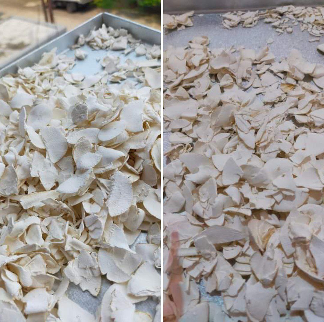 Export Ready Cassava Chips