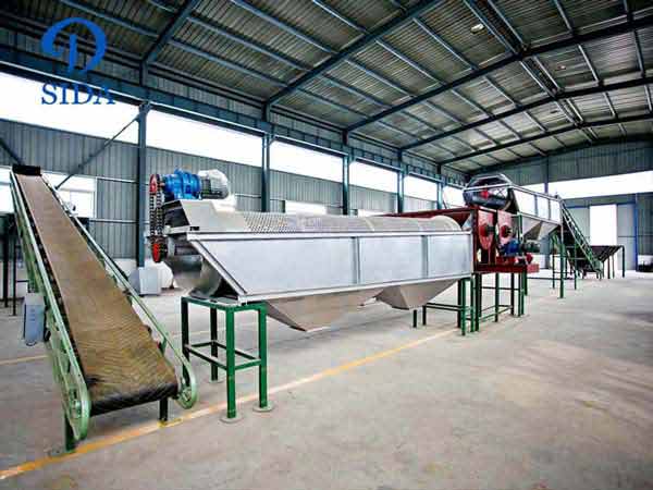 Processing cassava roots