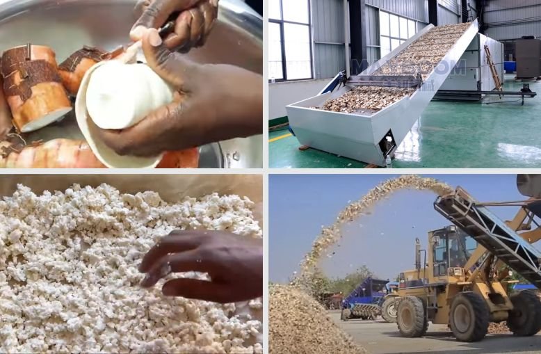 Cleaning fresh cassava