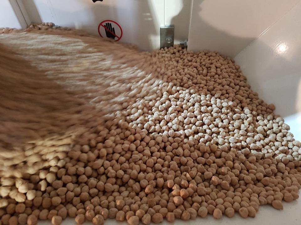 Cleaning chickpeas