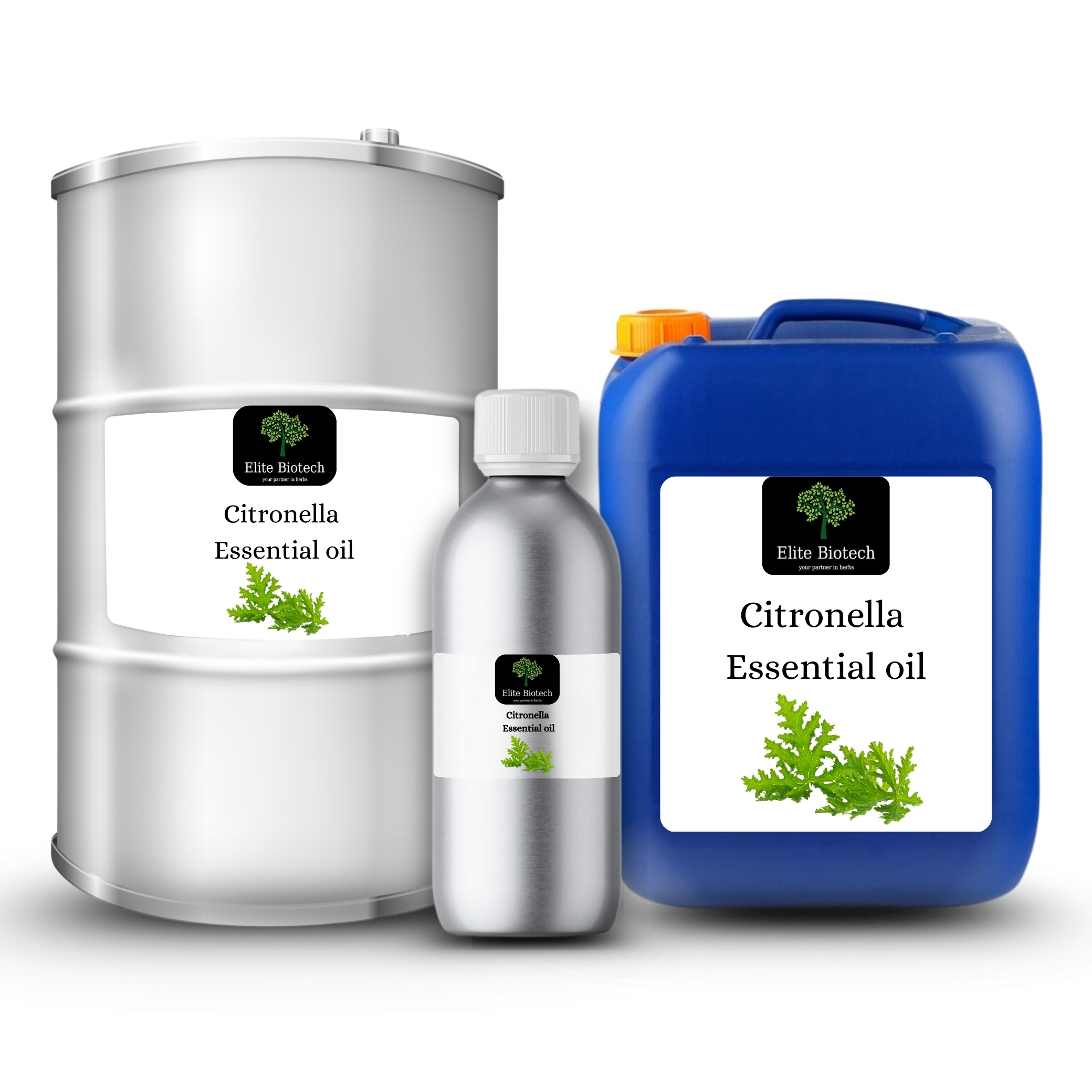 Citronella oil ready for export
