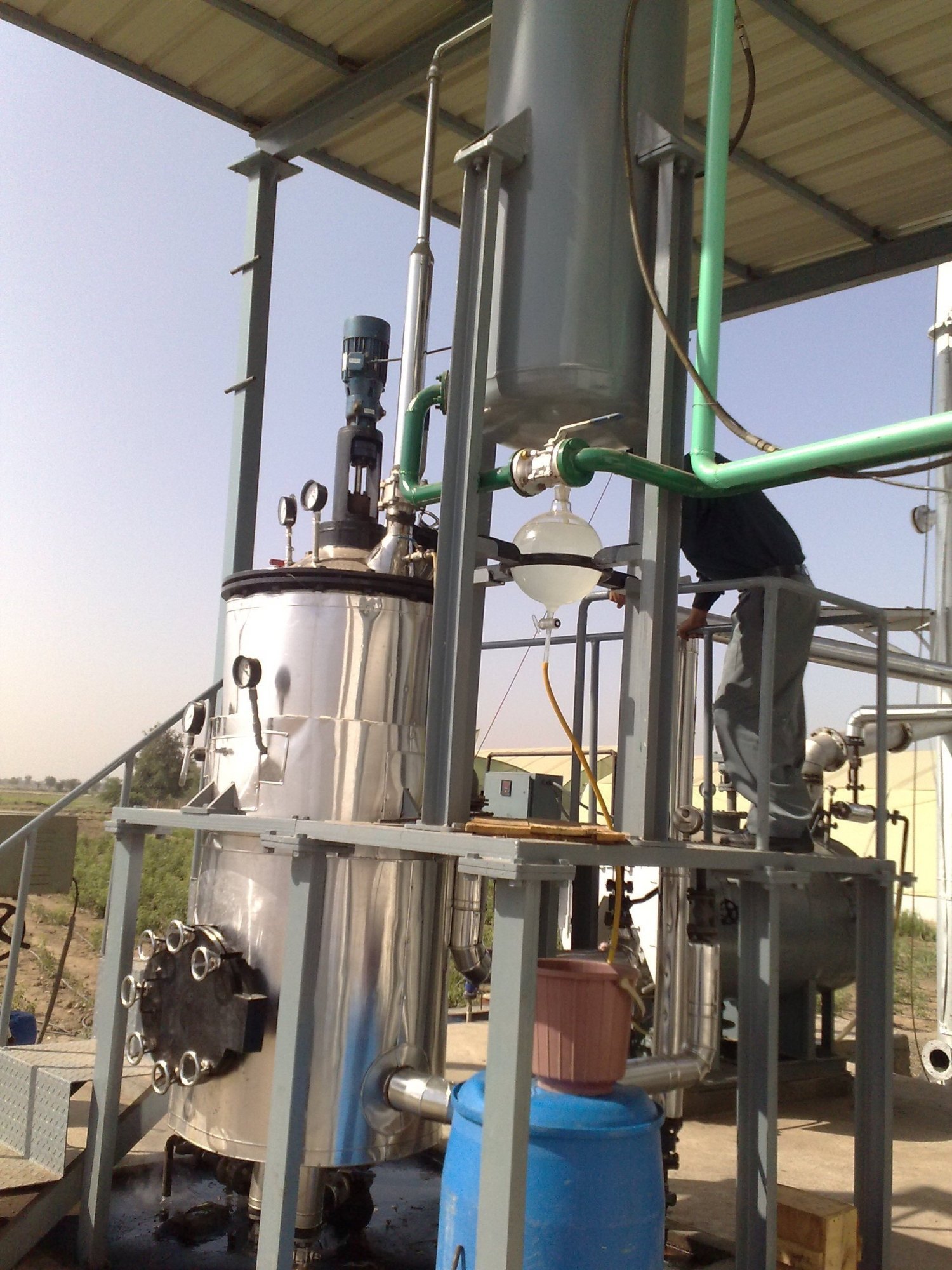 Steam distillation of clove leaves