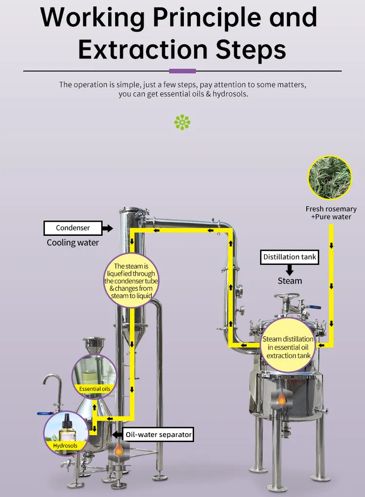 Laboratory testing of clove leaf oil