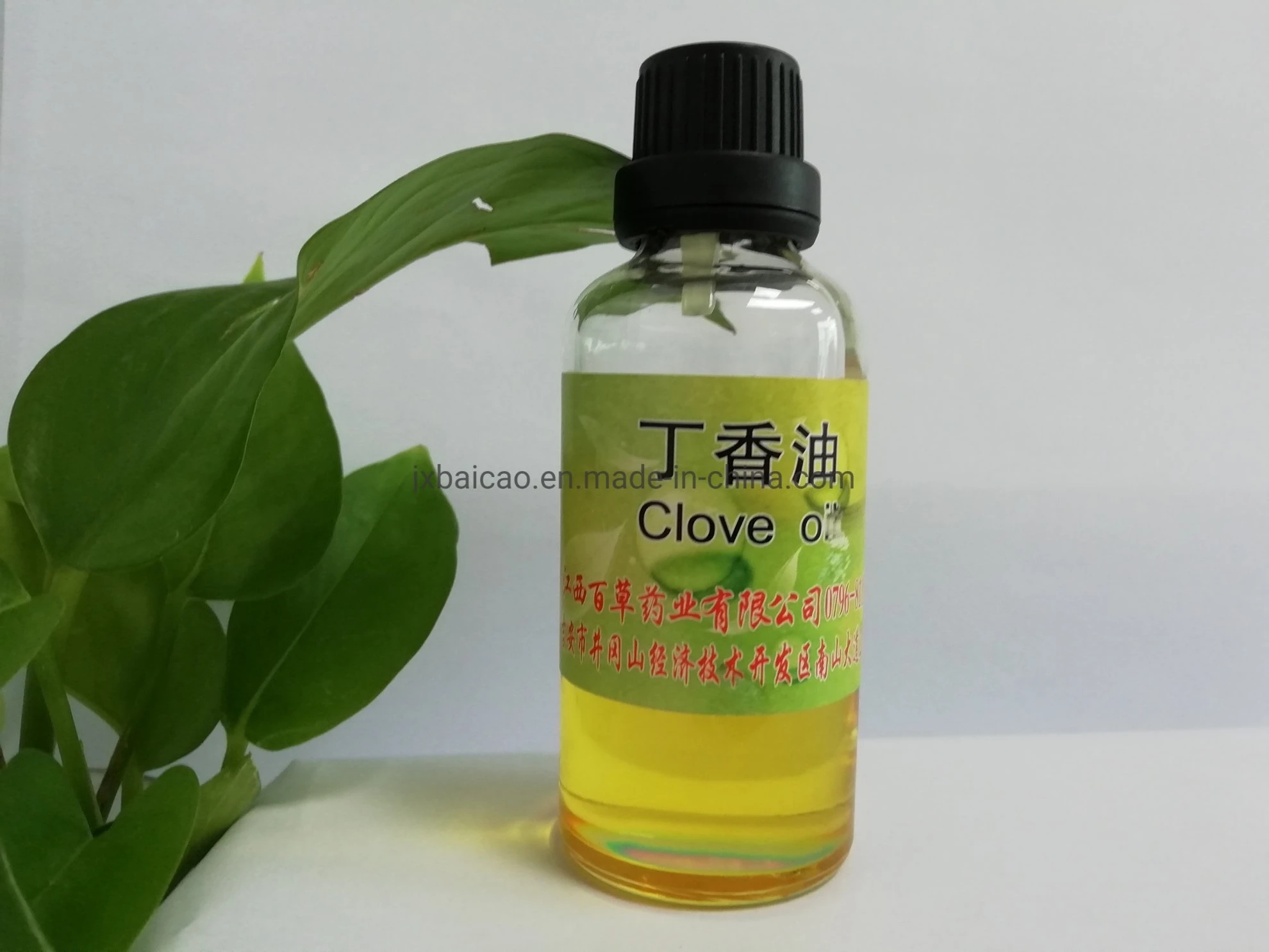 Export Ready Clove Leaf Oil