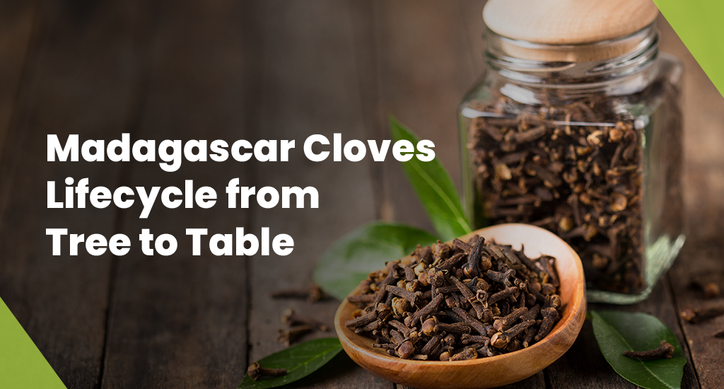 Cloves ready for export