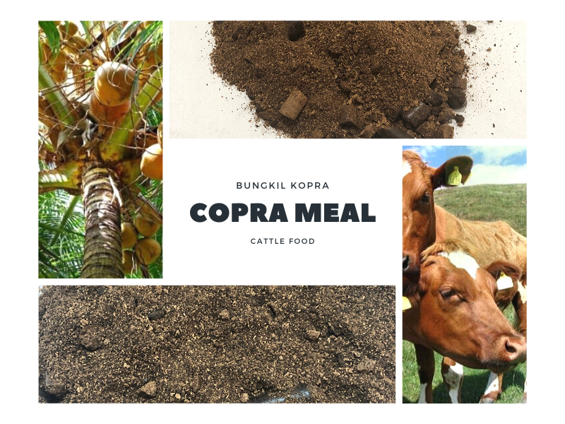 Copra meal packed in bags