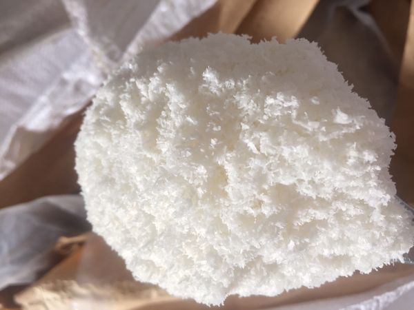 Quality inspection of copra meal