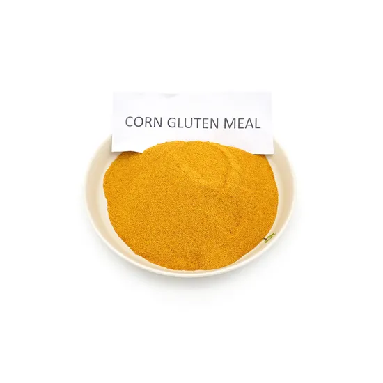 Processing of corn gluten meal