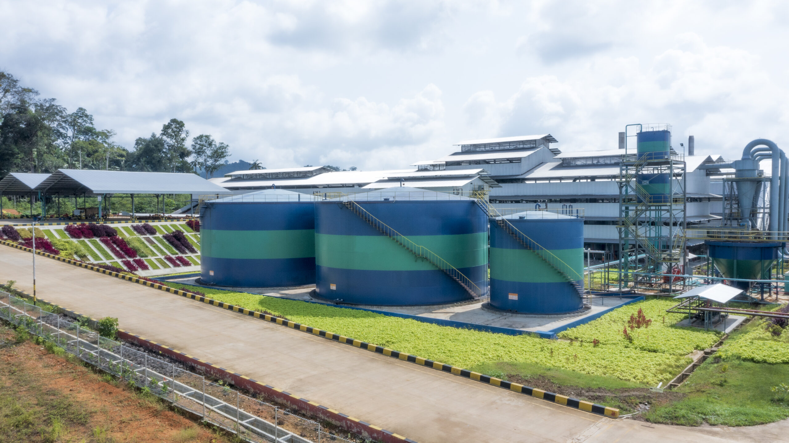 Palm oil processing mill