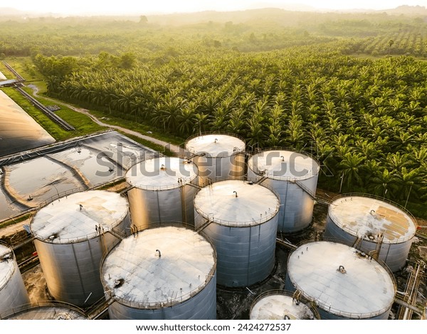 Crude Palm Oil in Bulk