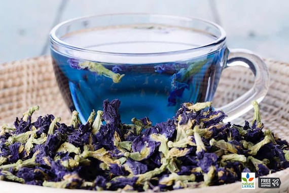 Harvesting butterfly pea flowers