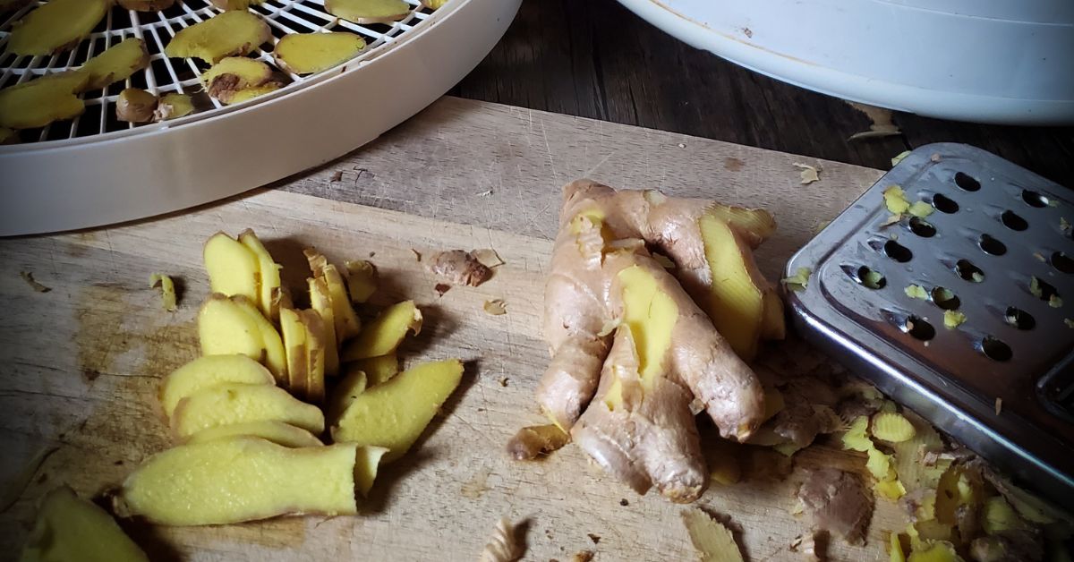 Drying Ginger