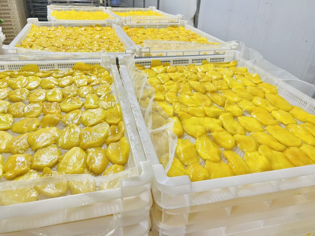 Ready for Shipment