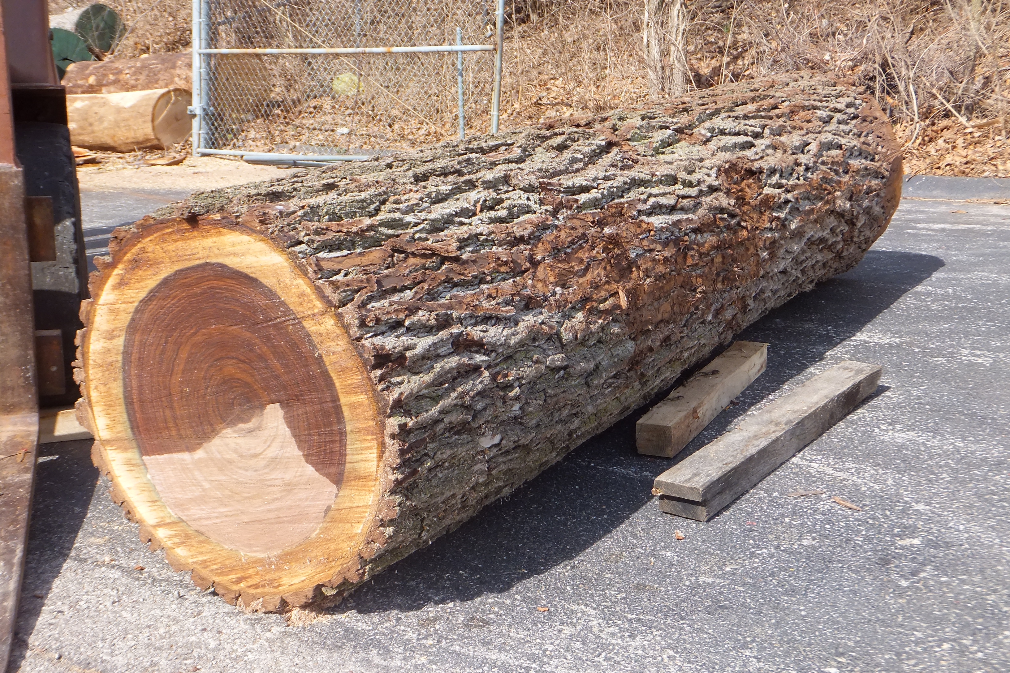 Wood ready for export