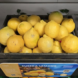 Quality inspection of lemons
