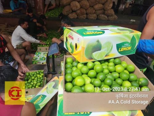 Lemons for Export