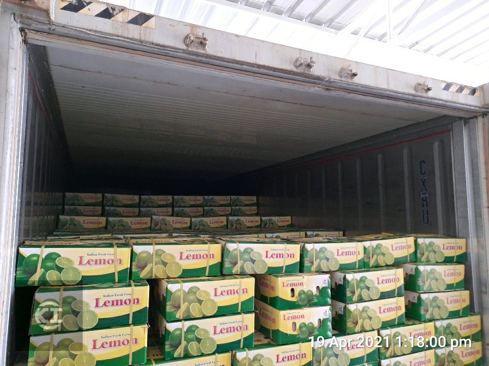 Packed Lemons