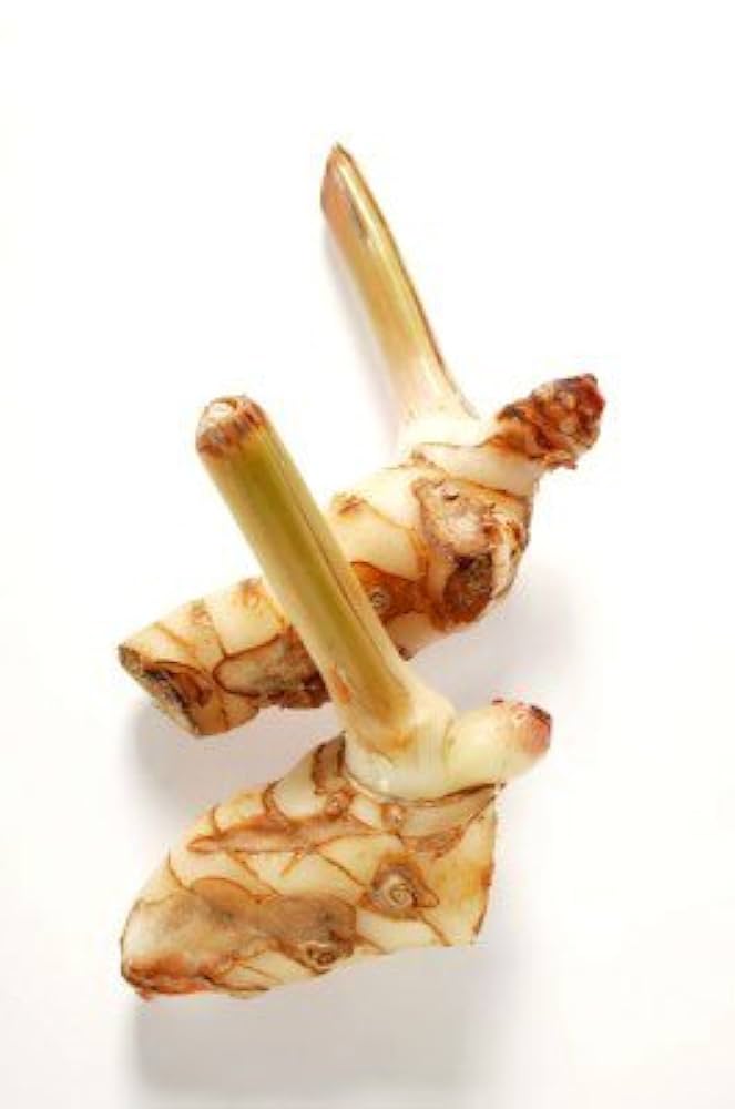 Fresh Galangal