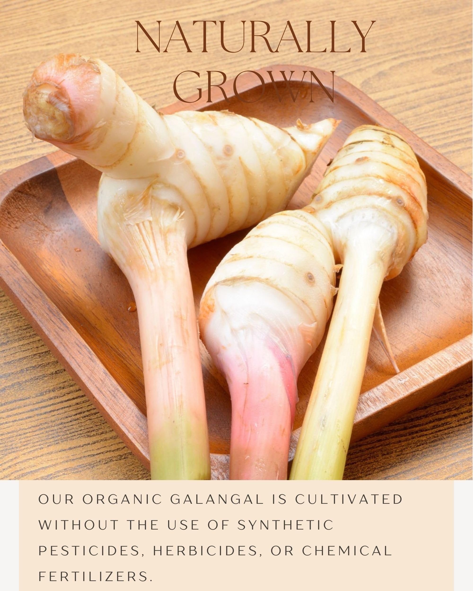Packed Galangal