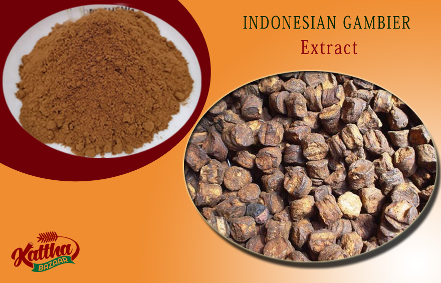 Packed Gambier Extract for Export