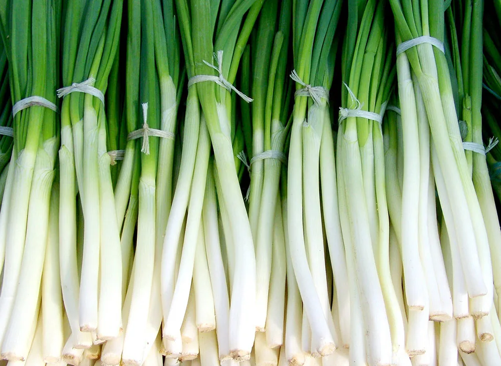 Chopped Green Onions