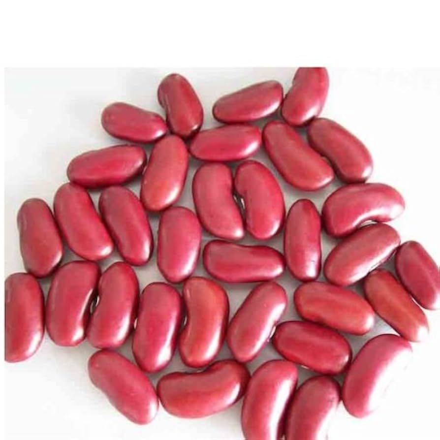 White Kidney Beans (Cannellini)
