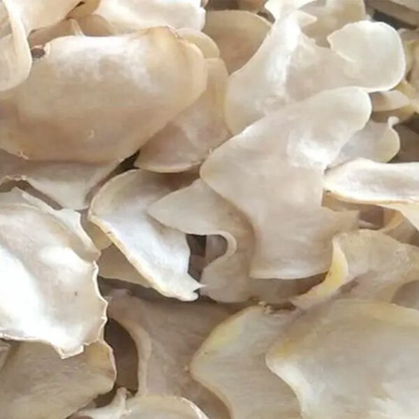 Harvesting Konjac Roots