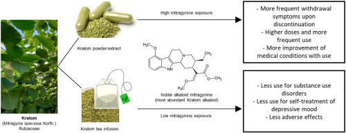 Packaging Kratom for export