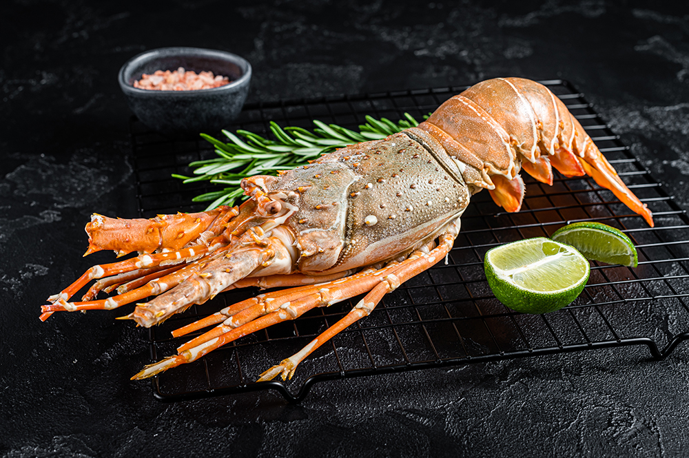 Harvesting Lobsters