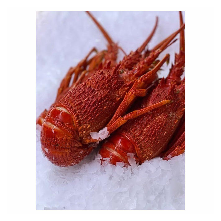 Quality check for Lobsters