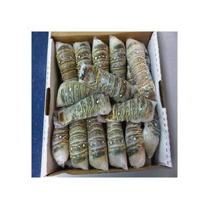 Frozen Lobster