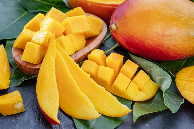Packed Mangoes for Export