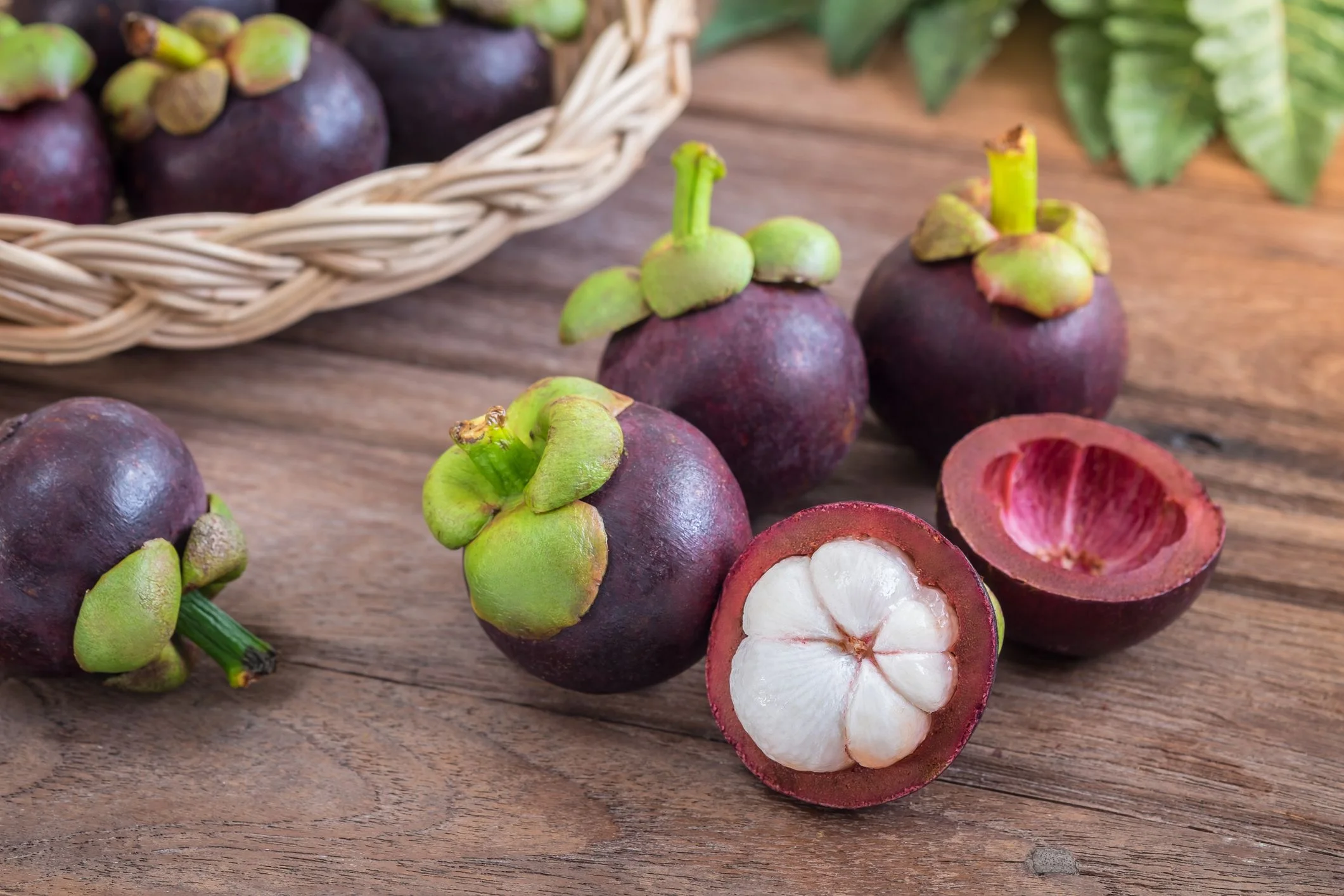 Harvesting Mangosteen