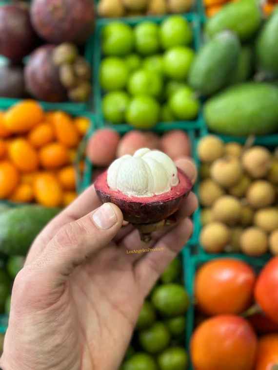 Fresh Mangosteen Fruit