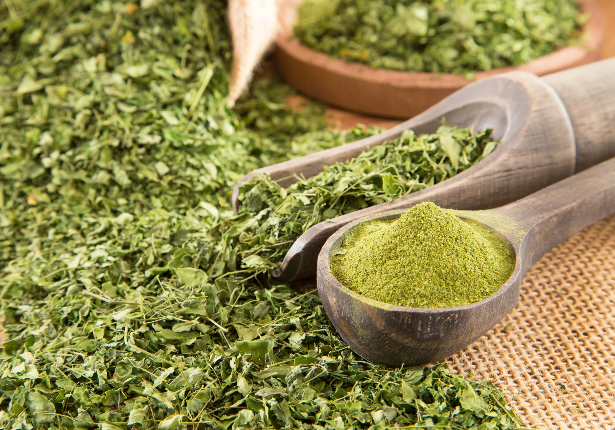 Moringa shipment