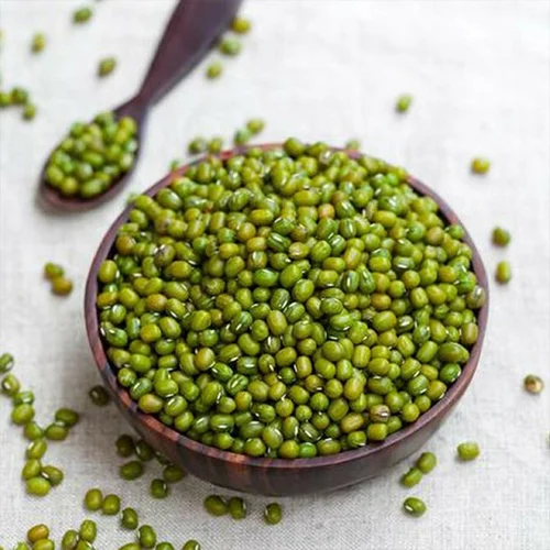 Mung beans ready for export