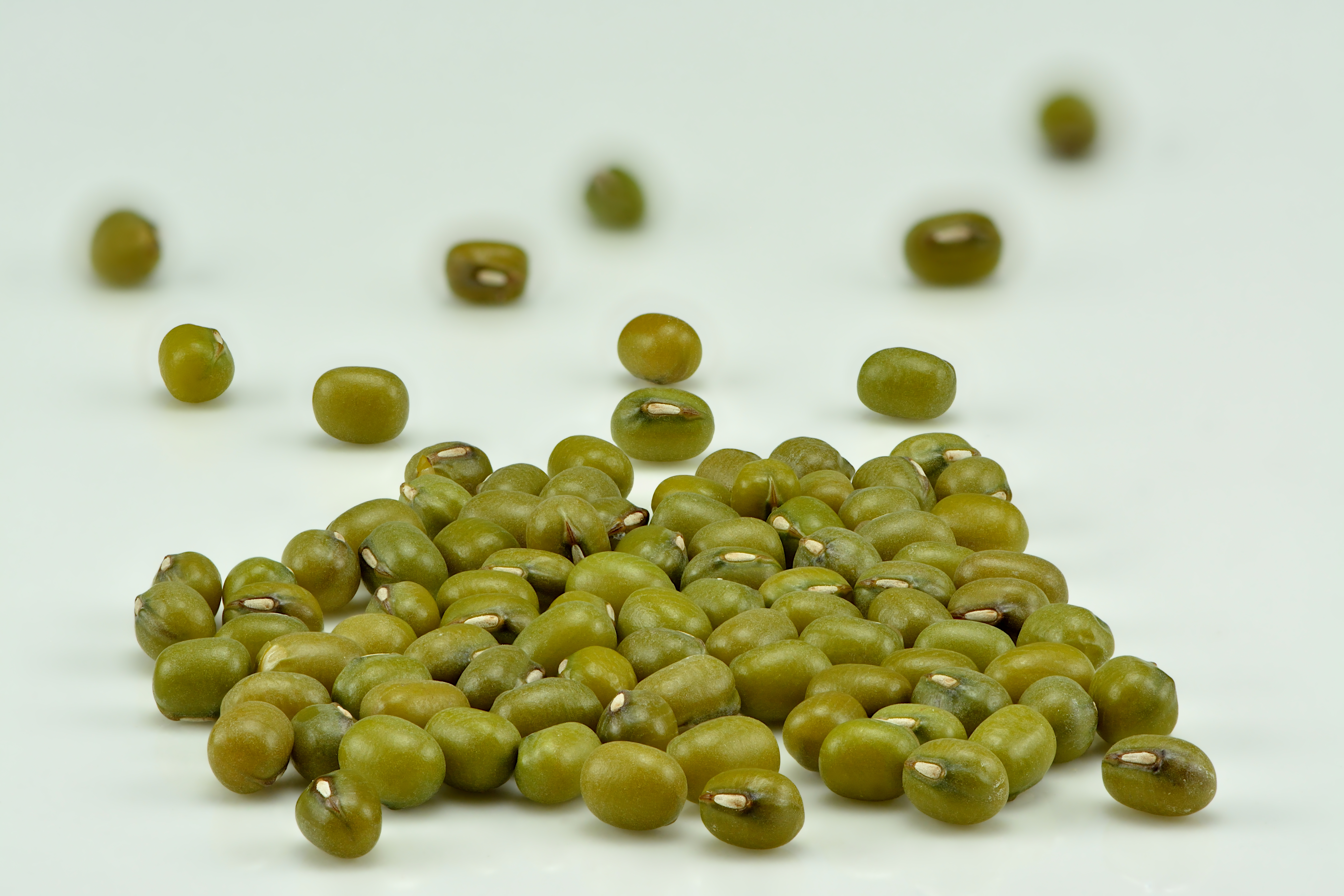 Mung bean farm